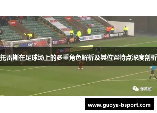 托雷斯在足球场上的多重角色解析及其位置特点深度剖析