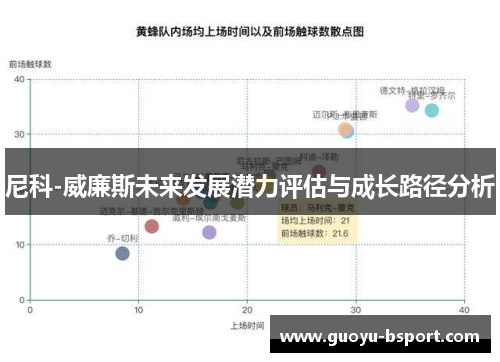 尼科-威廉斯未来发展潜力评估与成长路径分析