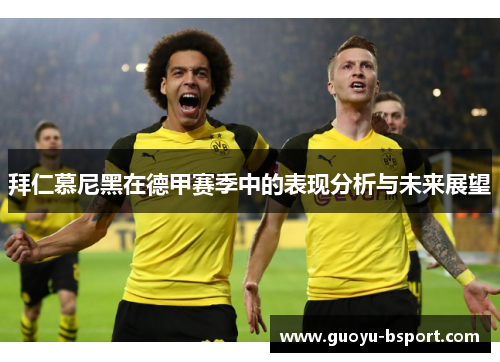 拜仁慕尼黑在德甲赛季中的表现分析与未来展望