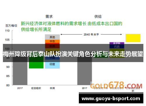 梅州降级背后泰山队扮演关键角色分析与未来走势展望
