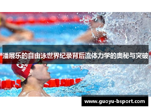 潘展乐的自由泳世界纪录背后流体力学的奥秘与突破