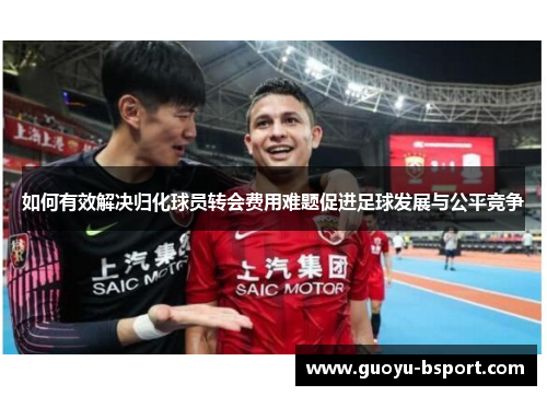 如何有效解决归化球员转会费用难题促进足球发展与公平竞争