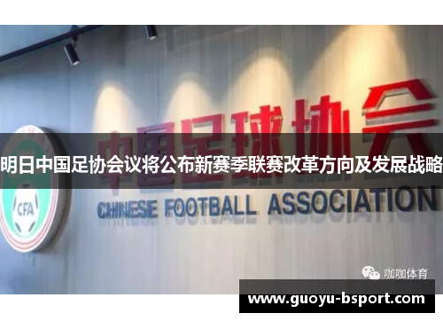 明日中国足协会议将公布新赛季联赛改革方向及发展战略 明日中国足协会议将公布新赛季联赛改革方向及发展战略