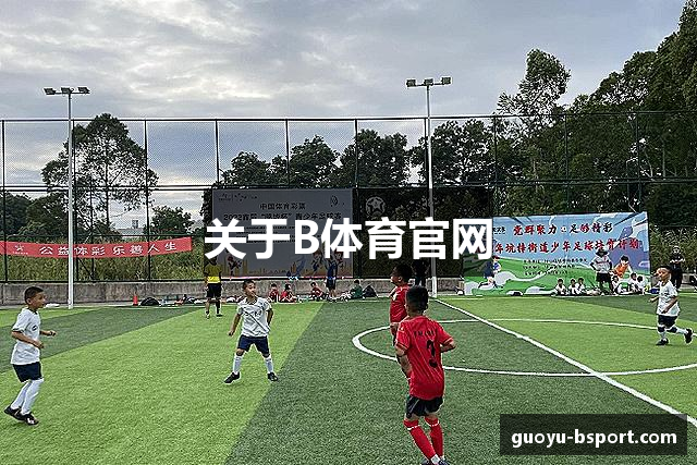 关于B体育官网